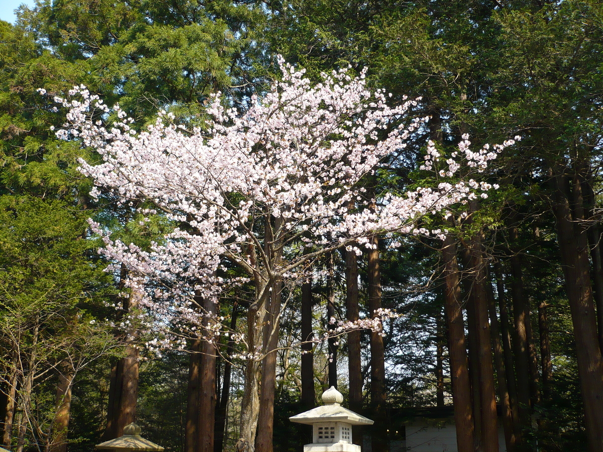 北海道神宮