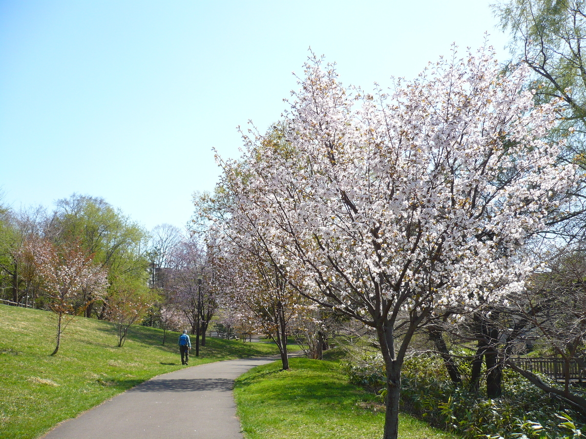 精進川河畔公園
