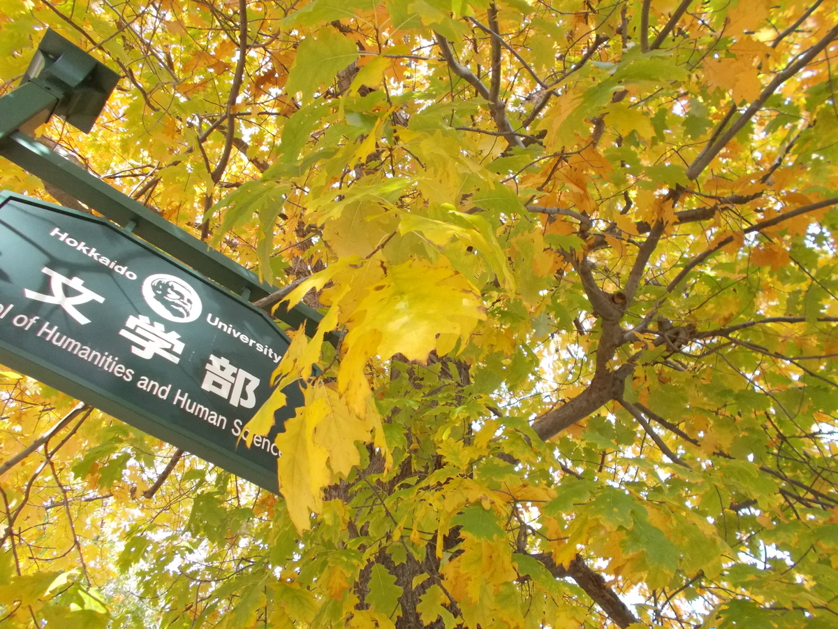 北大文学部