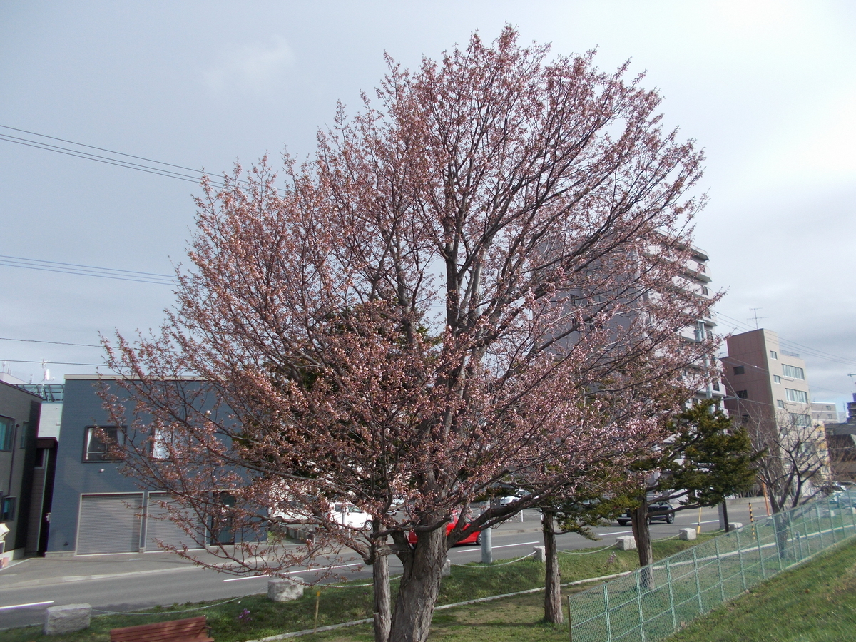 河岸公園