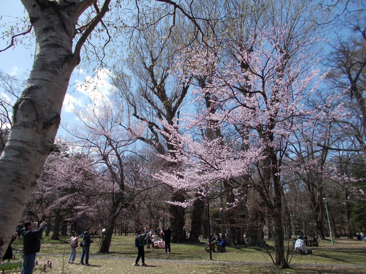 円山公園