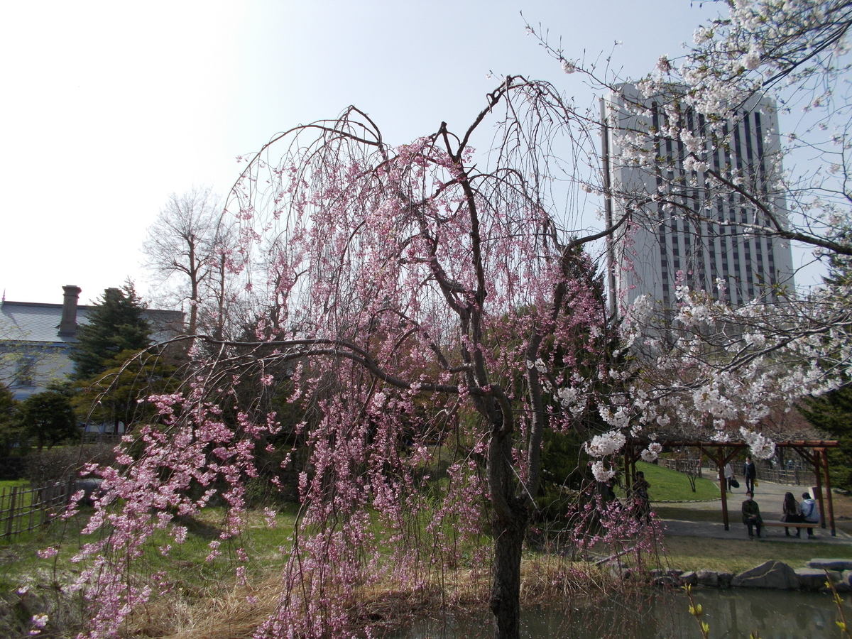 円山公園