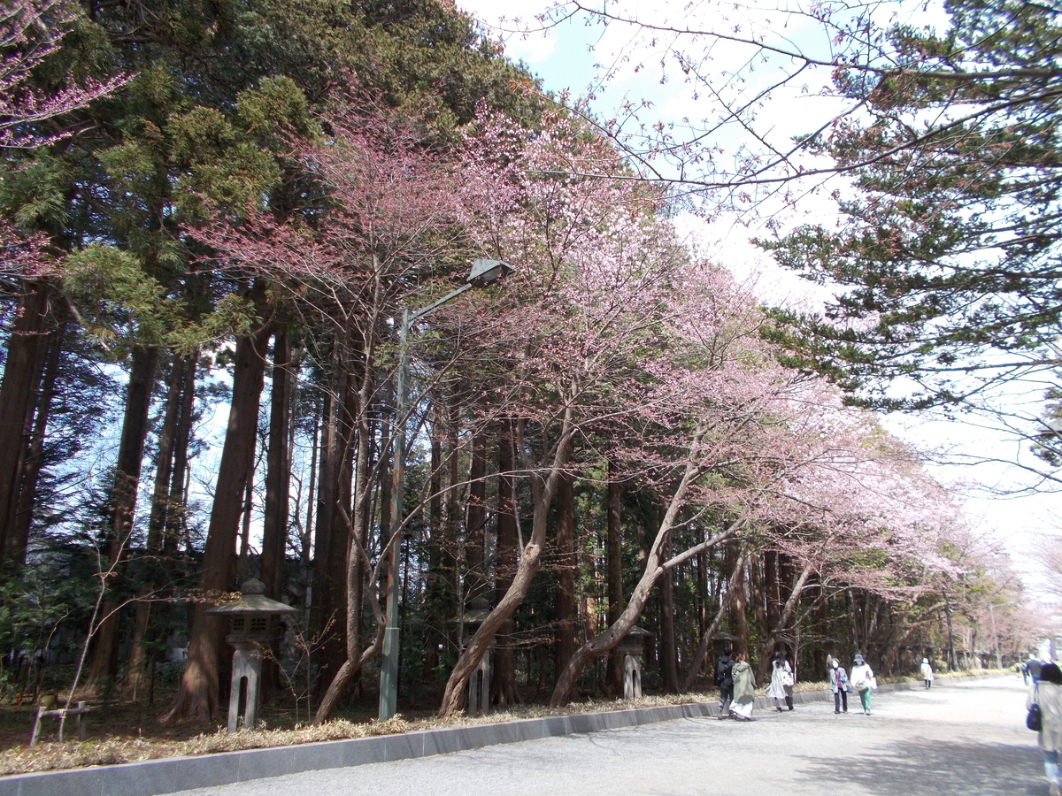 北海道神宮