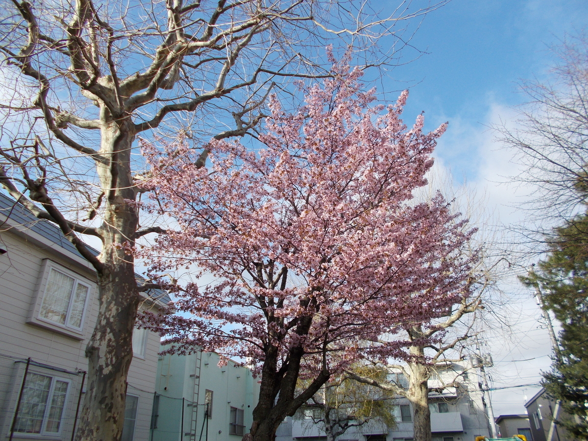 豊平ゆたか公園