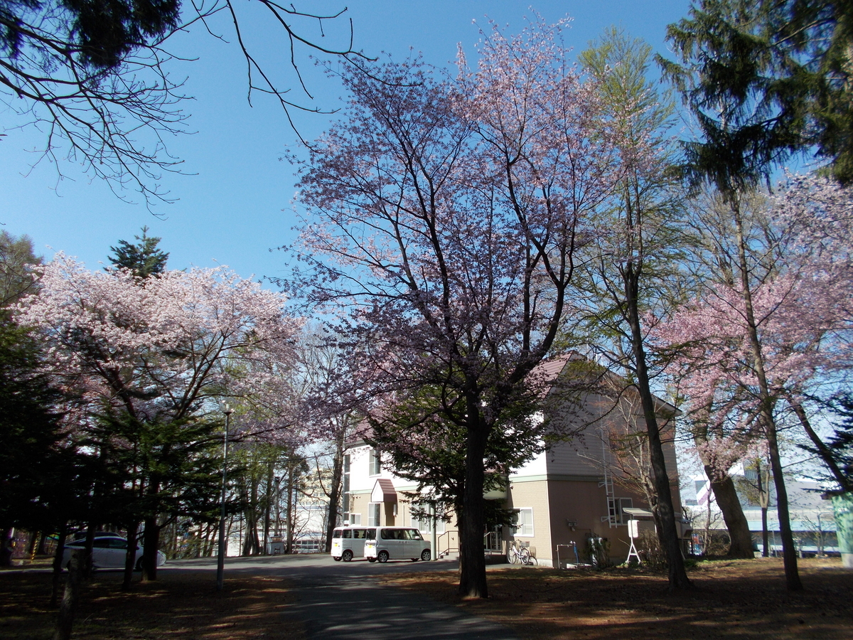 大谷地神社