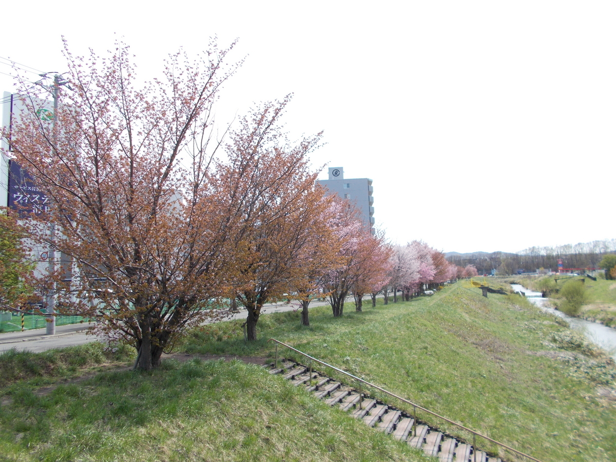 アシリベツ川