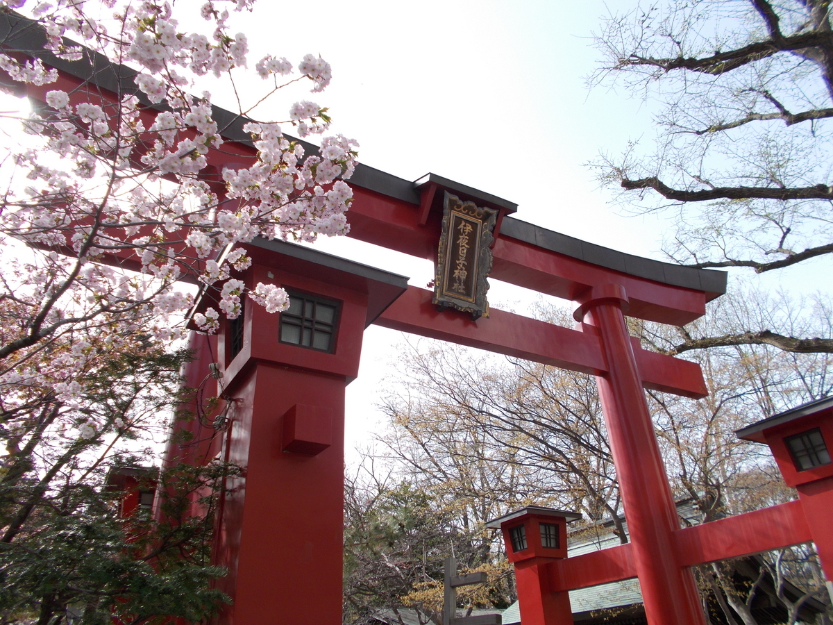弥彦神社
