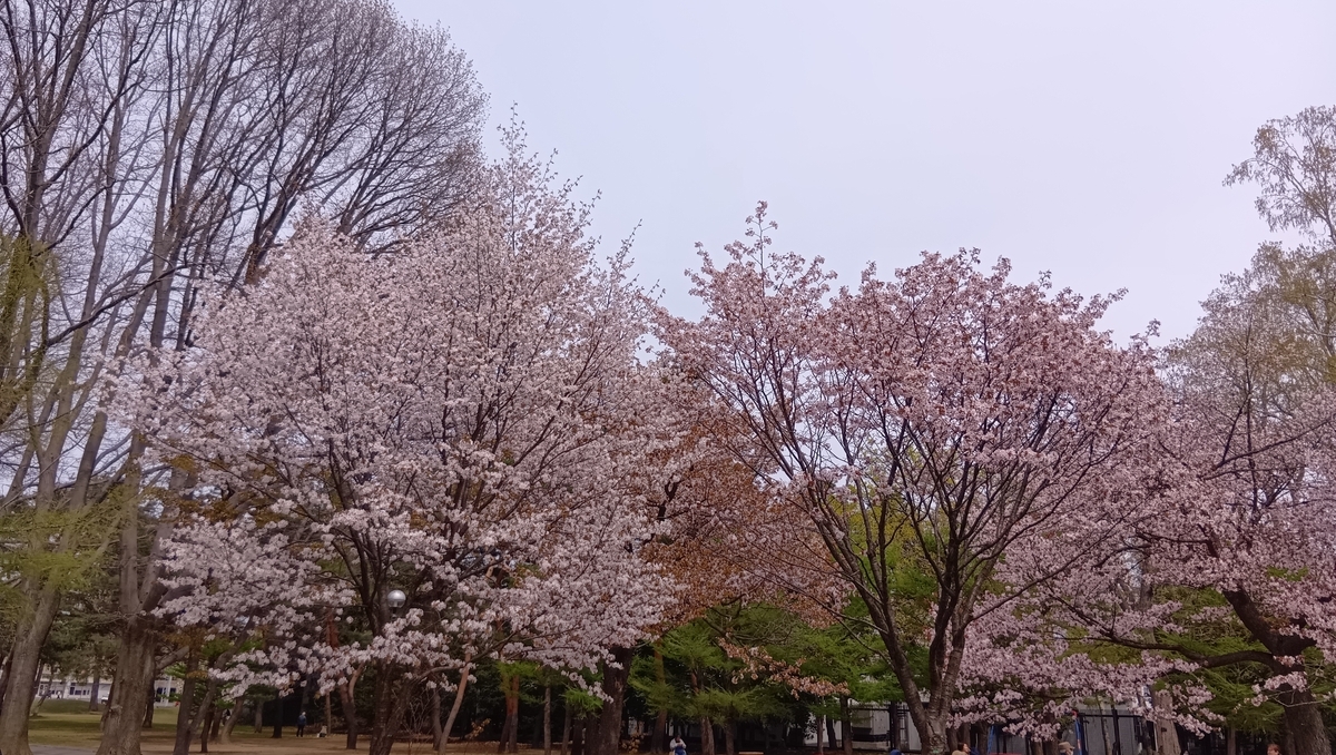 北海道神宮