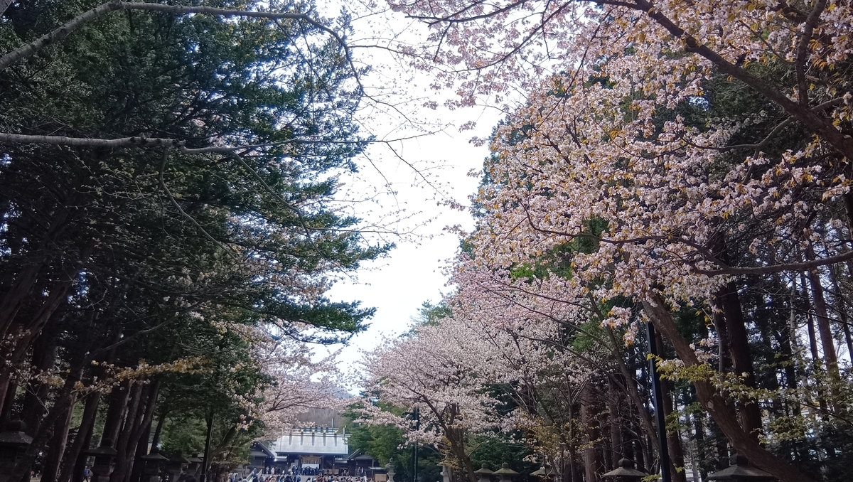北海道神宮