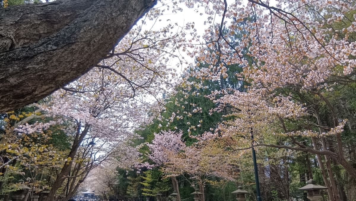 北海道神宮