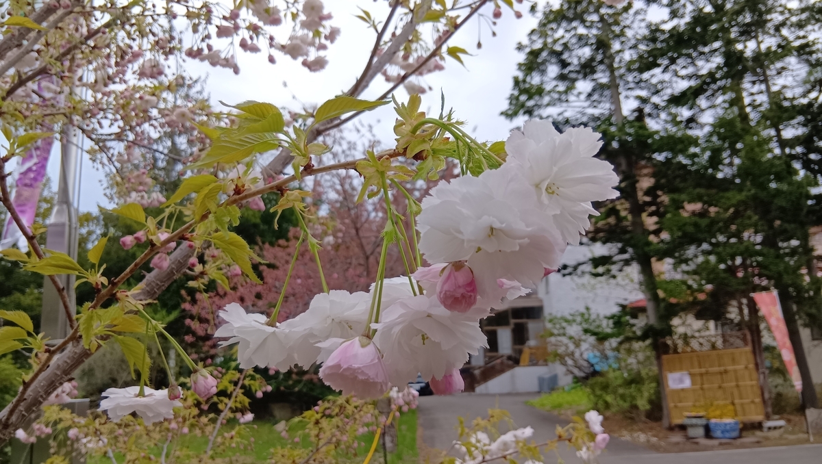 札幌護国神社