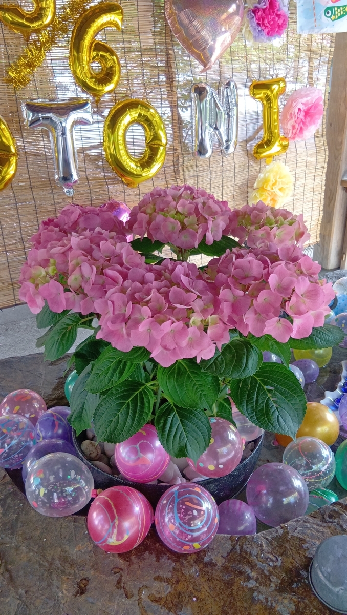 琴似神社