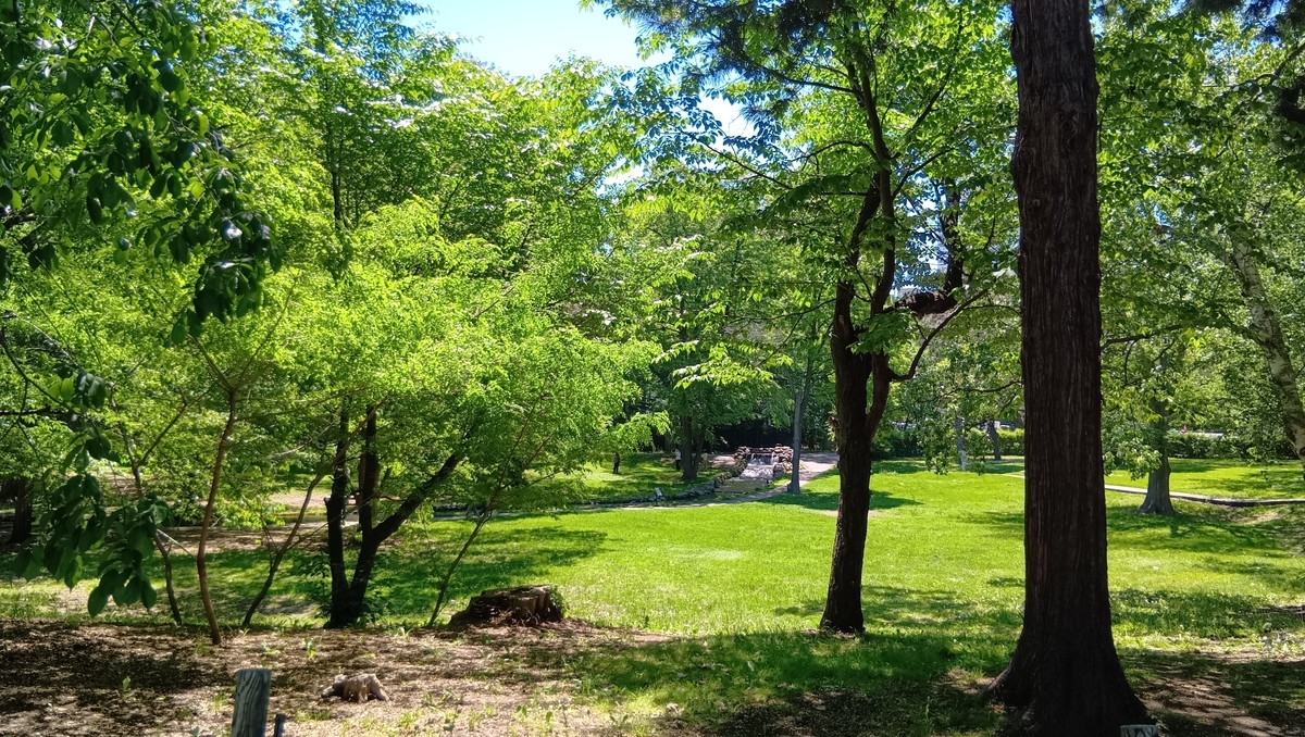北海道大学創基150年
