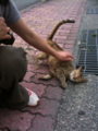 20090702232152