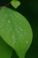 20100427230430