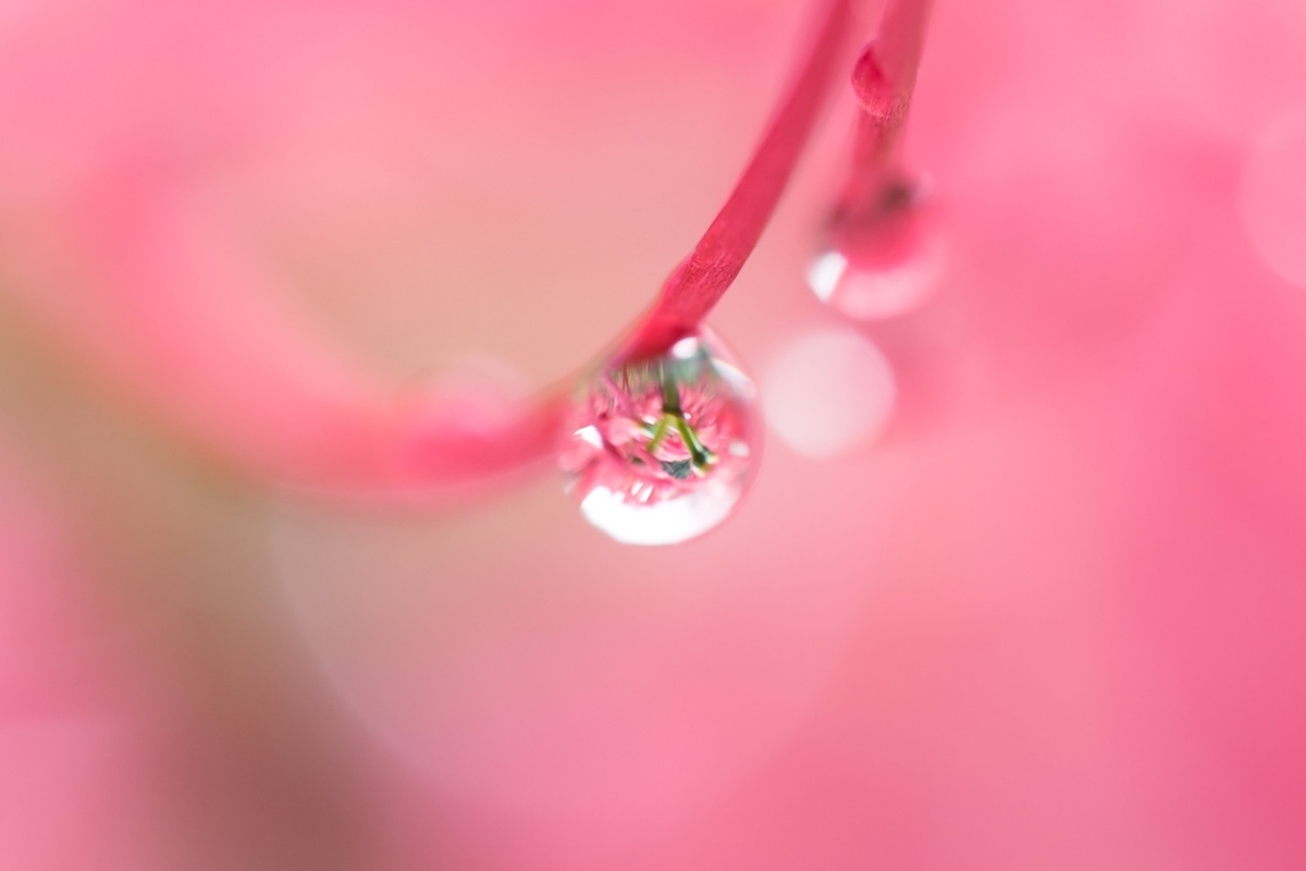 f:id:cafe_spoon:20200103181235j:plain