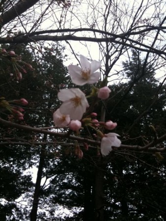 f:id:cafebabe:20100328143002j:image f:id:cafebabe:20100328143002j:image