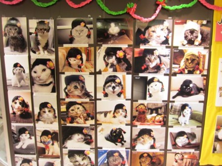 f:id:cafebabe:20111016180509j:image