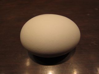 f:id:cafebabe:20121030123221j:image f:id:cafebabe:20121030123221j:image