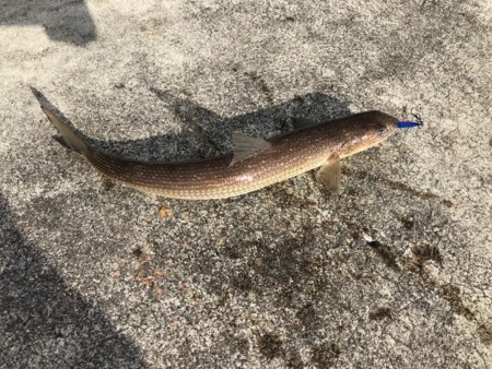 f:id:cafebabe:20180506071529j:image:w320