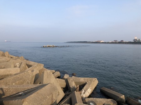 f:id:cafebabe:20180716064230j:image