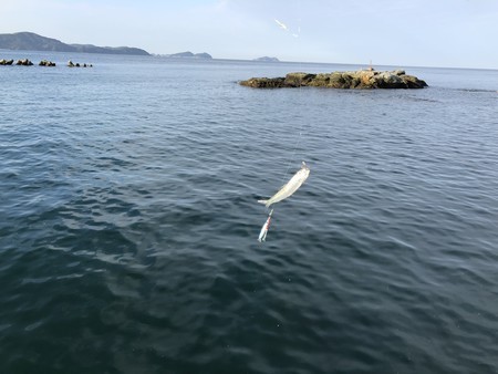 f:id:cafebabe:20180923070312j:image:w320