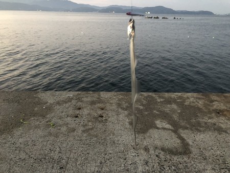 f:id:cafebabe:20180924053013j:image:w320