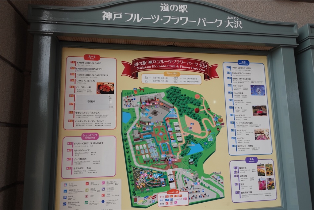 f:id:cafecafecafe:20210606230451j:image