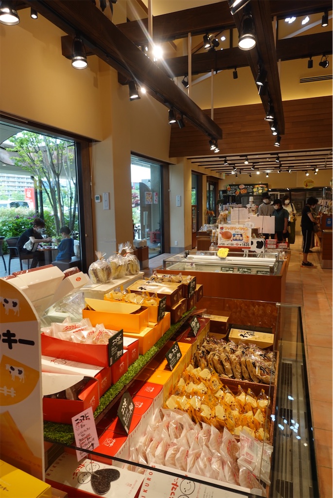 f:id:cafecafecafe:20210616121018j:image