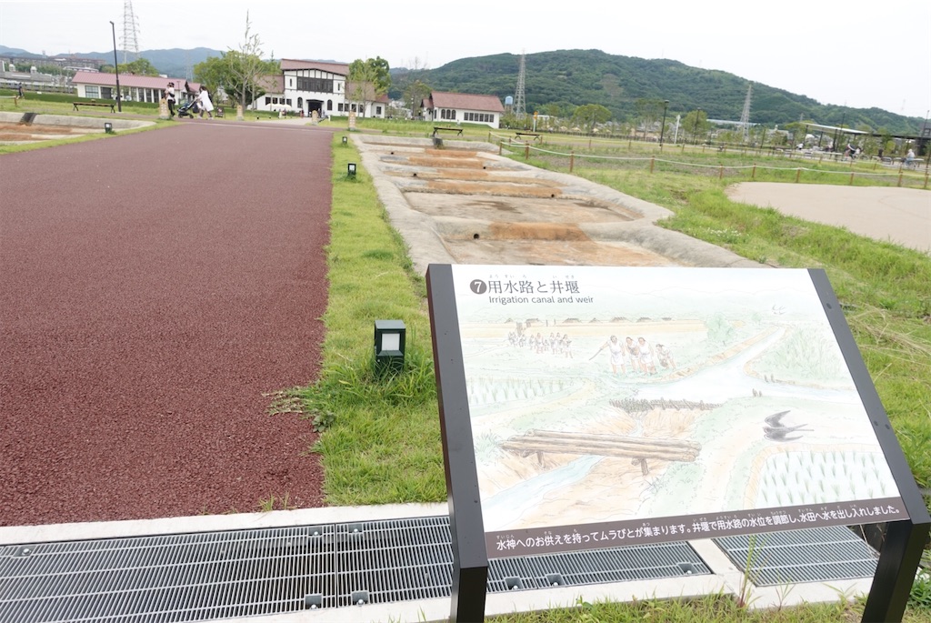 f:id:cafecafecafe:20210628234152j:image