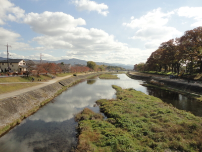 f:id:cafedepochenotebook:20111127115404j:image:w360