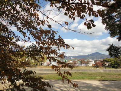 f:id:cafedepochenotebook:20111127115407j:image:w360