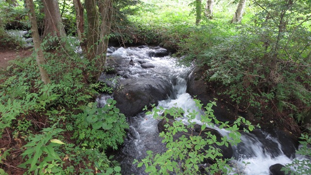 f:id:cafeee:20160906195230j:plain