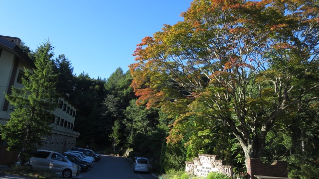 f:id:cafeee:20160907200610j:plain f:id:cafeee:20160907200610j:plain