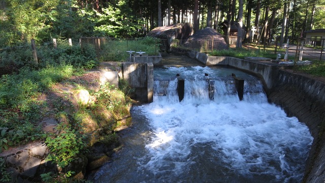 f:id:cafeee:20160907200815j:plain f:id:cafeee:20160907200815j:plain