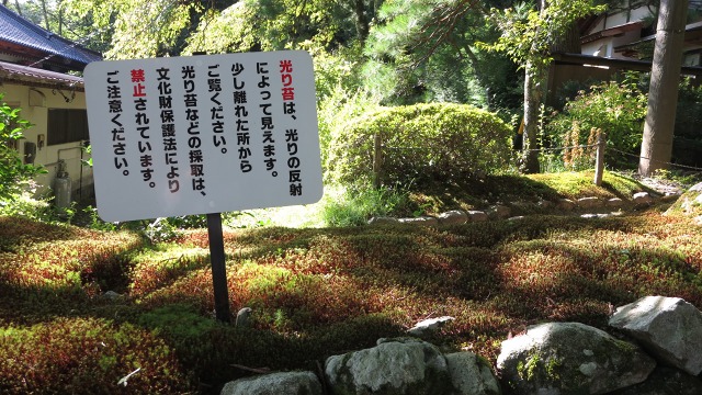 f:id:cafeee:20160907201022j:plain f:id:cafeee:20160907201022j:plain