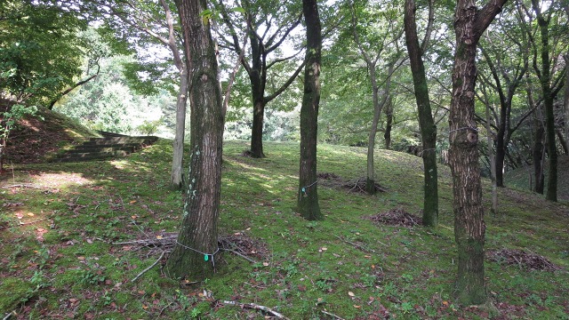 f:id:cafeee:20160930222941j:plain