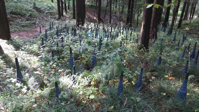 f:id:cafeee:20160930223019j:plain