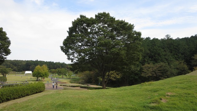 f:id:cafeee:20160930223039j:plain