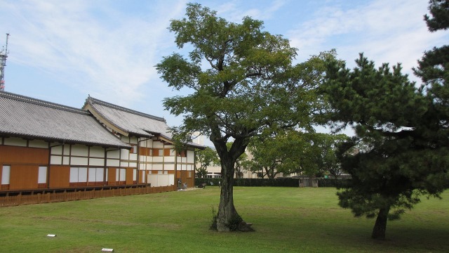 f:id:cafeee:20161010181214j:plain