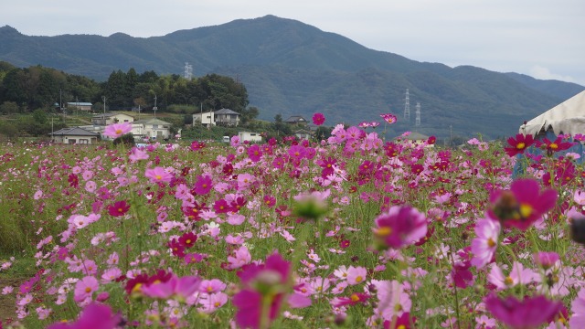 f:id:cafeee:20161014232322j:plain