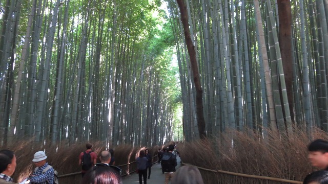 f:id:cafeee:20161105222136j:plain f:id:cafeee:20161105222136j:plain