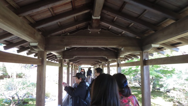 f:id:cafeee:20161106191058j:plain f:id:cafeee:20161106191058j:plain