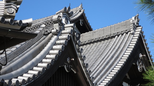 f:id:cafeee:20161106191156j:plain f:id:cafeee:20161106191156j:plain