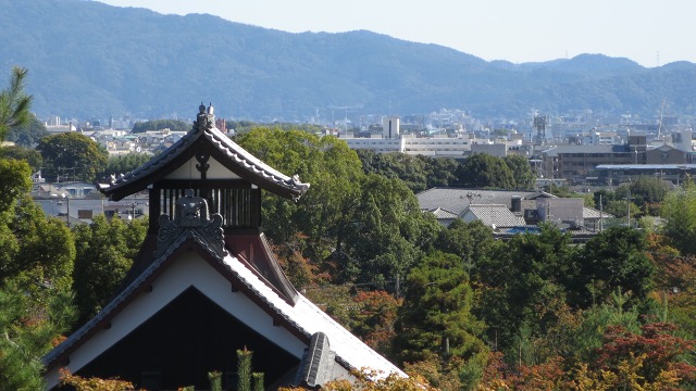 f:id:cafeee:20161106191241j:plain f:id:cafeee:20161106191241j:plain