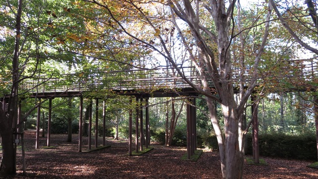 f:id:cafeee:20161108221107j:plain f:id:cafeee:20161108221107j:plain