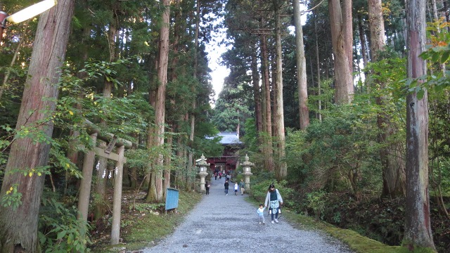 f:id:cafeee:20161108221127j:plain f:id:cafeee:20161108221127j:plain