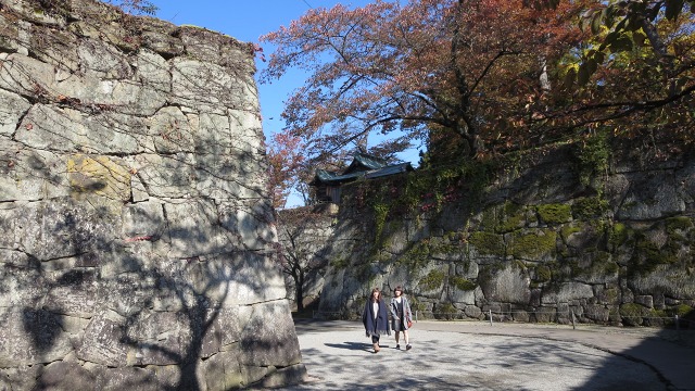 f:id:cafeee:20161110221722j:plain