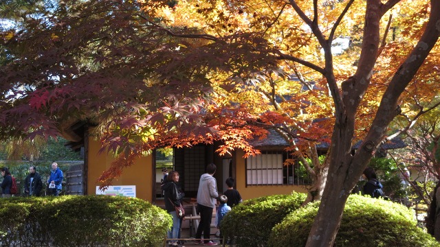 f:id:cafeee:20161110222055j:plain