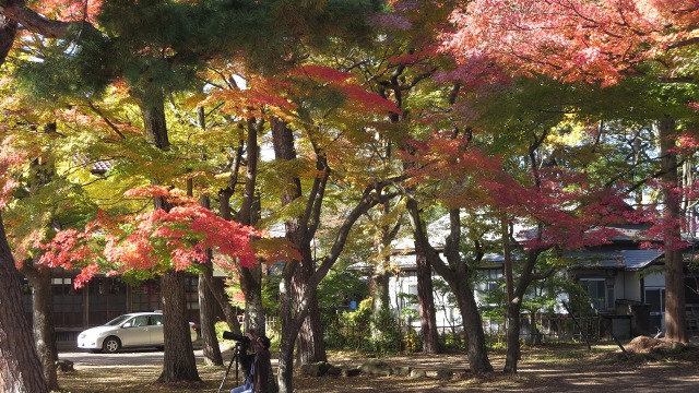 f:id:cafeee:20161110222145j:plain